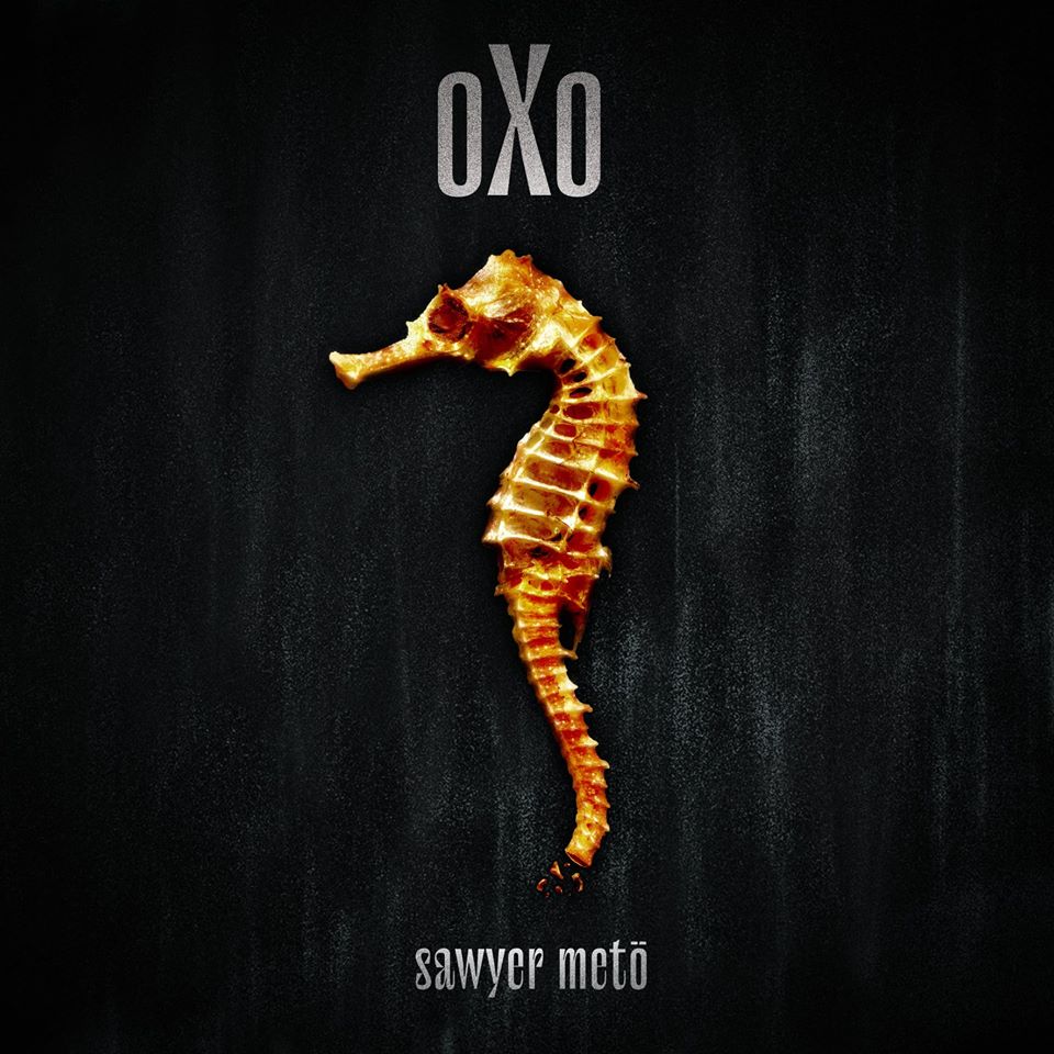 Sawyer Metö a sorti l'album oXo le 6 novembre 2019.