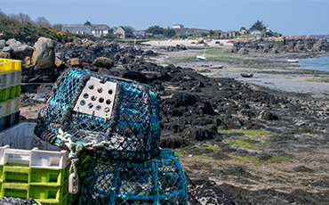 Les îles Chausey intéressent les médias.©Benoit.Croisy Les îles Chausey intéressent les médias.©Benoit.Croisy